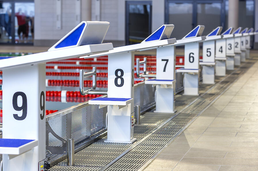Startblöcke in der 50m-Halle.