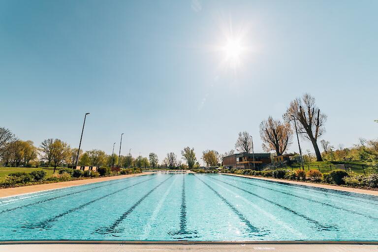 50m-Schwimmerbecken mit 8 Bahnen.